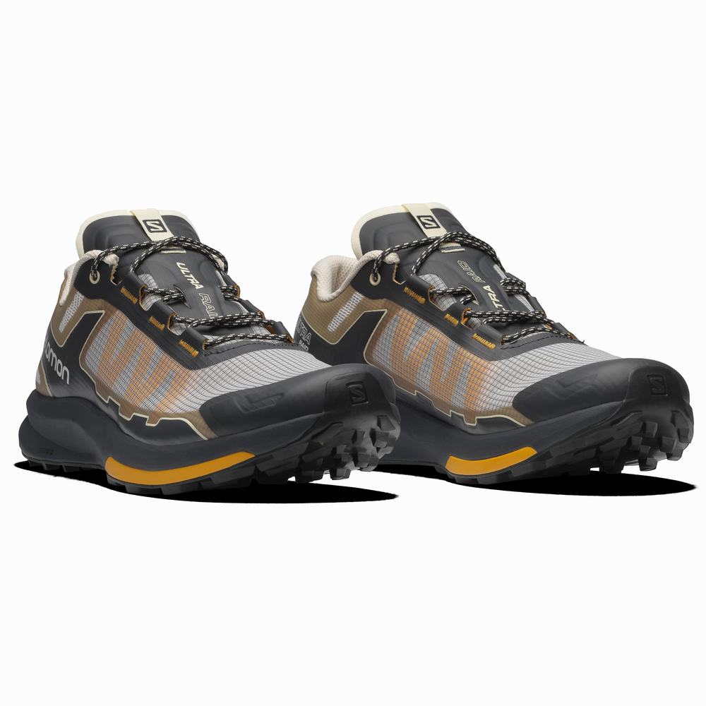 Dámské Tenisky Salomon Ultra Raid Grey/Brown/Black | CZ-8560432