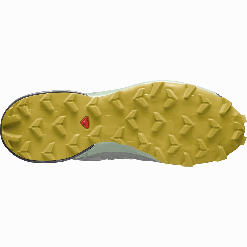 Dámské Trailové Běžecké Boty Salomon Speedcross 5 Gore-tex Grey/Turquoise | CZ-4731265