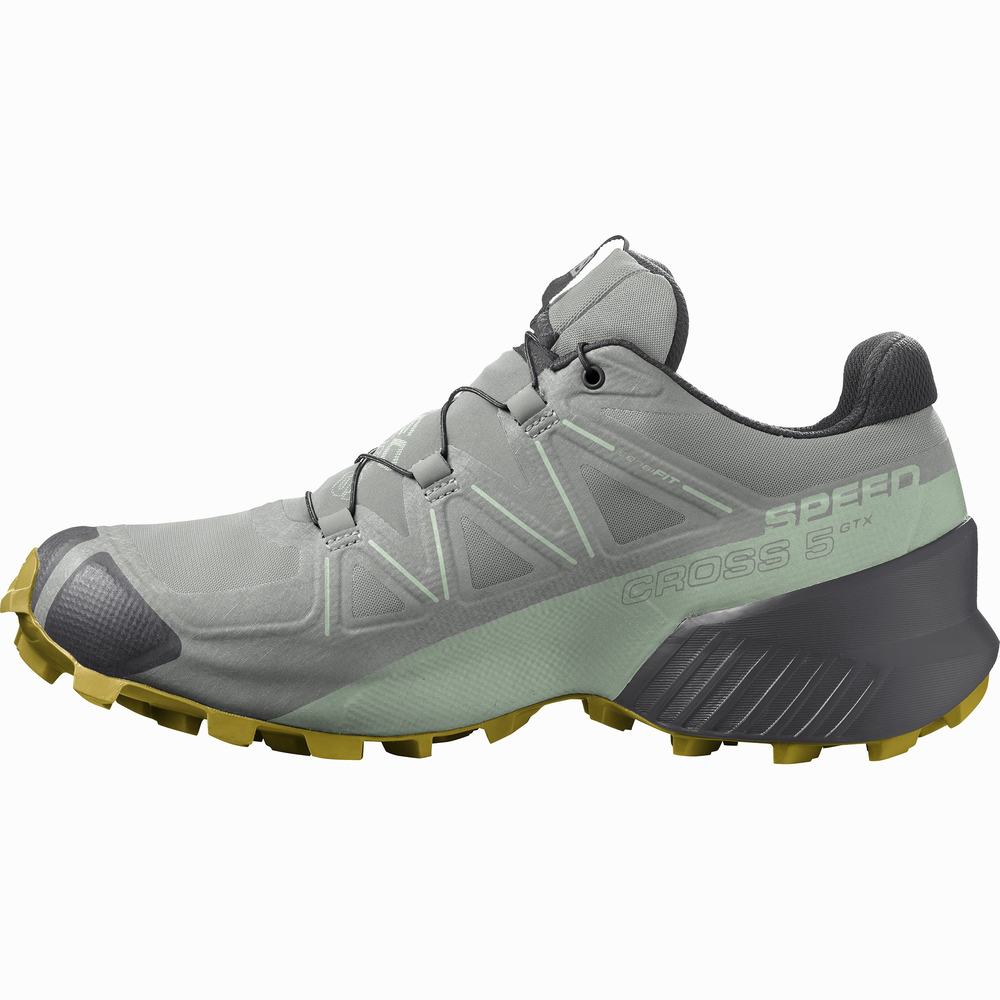 Dámské Trailové Běžecké Boty Salomon Speedcross 5 Gore-tex Grey/Turquoise | CZ-4731265