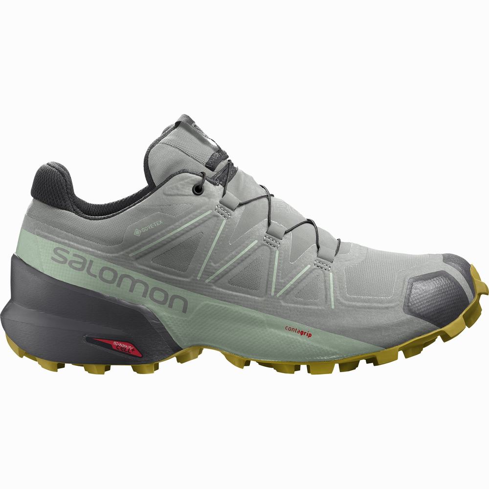 Dámské Trailové Běžecké Boty Salomon Speedcross 5 Gore-tex Grey/Turquoise | CZ-4731265