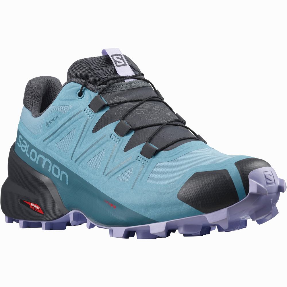 Dámské Trailové Běžecké Boty Salomon Speedcross 5 Gore-tex Blue/Lavender | CZ-8467059