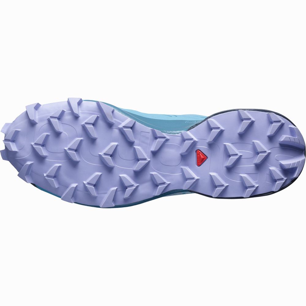 Dámské Trailové Běžecké Boty Salomon Speedcross 5 Gore-tex Blue/Lavender | CZ-8467059