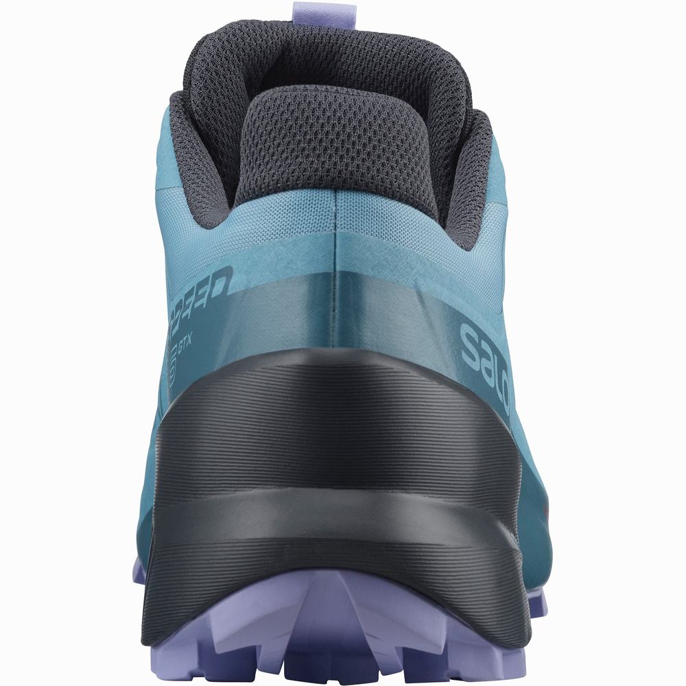 Dámské Trailové Běžecké Boty Salomon Speedcross 5 Gore-tex Blue/Lavender | CZ-8467059