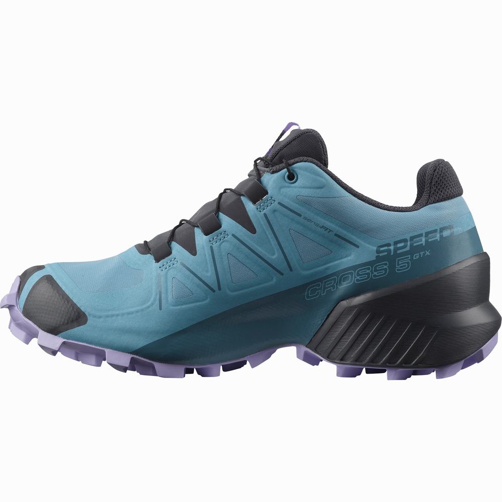 Dámské Trailové Běžecké Boty Salomon Speedcross 5 Gore-tex Blue/Lavender | CZ-8467059