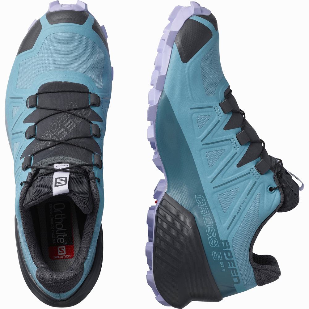 Dámské Trailové Běžecké Boty Salomon Speedcross 5 Gore-tex Blue/Lavender | CZ-8467059