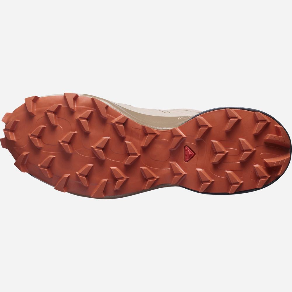 Dámské Trailové Běžecké Boty Salomon Speedcross 5 Gore-tex Brown/navy | CZ-9105342