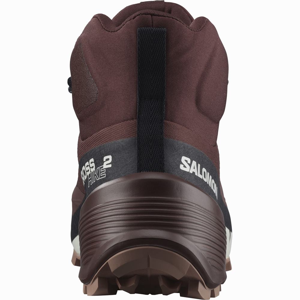 Dámské Turistické Boty Salomon Cross Hike 2 Mid Gore-tex Čokolády | CZ-7019238