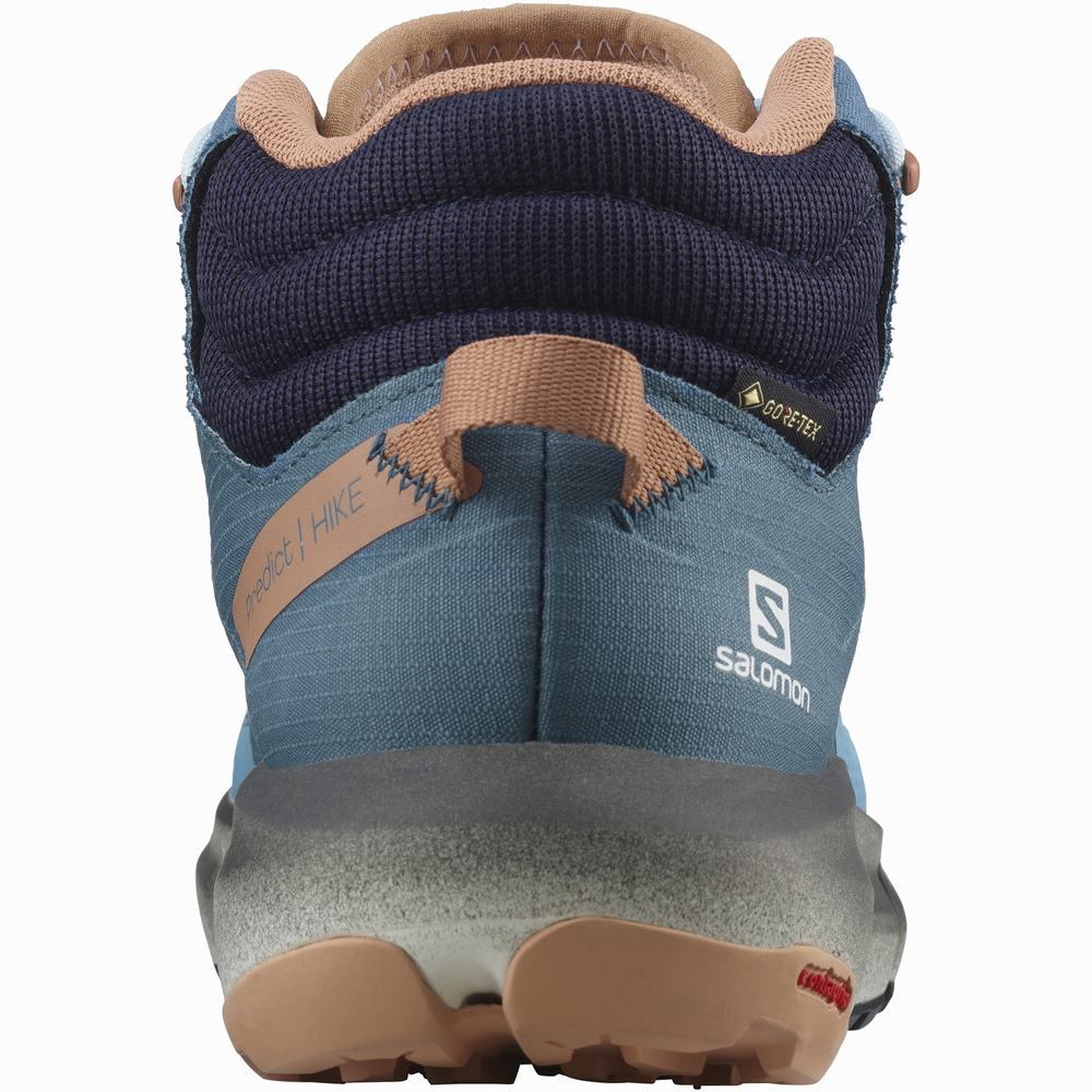 Dámské Turistické Boty Salomon Predict Hike Mid Gore-tex Blankyt | CZ-3268145