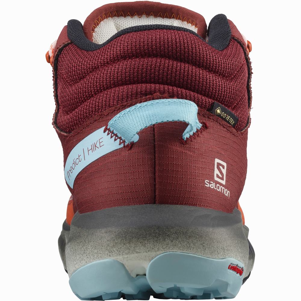 Dámské Turistické Boty Salomon Predict Hike Mid Gore-tex Orange/Brown/Blue | CZ-9824537