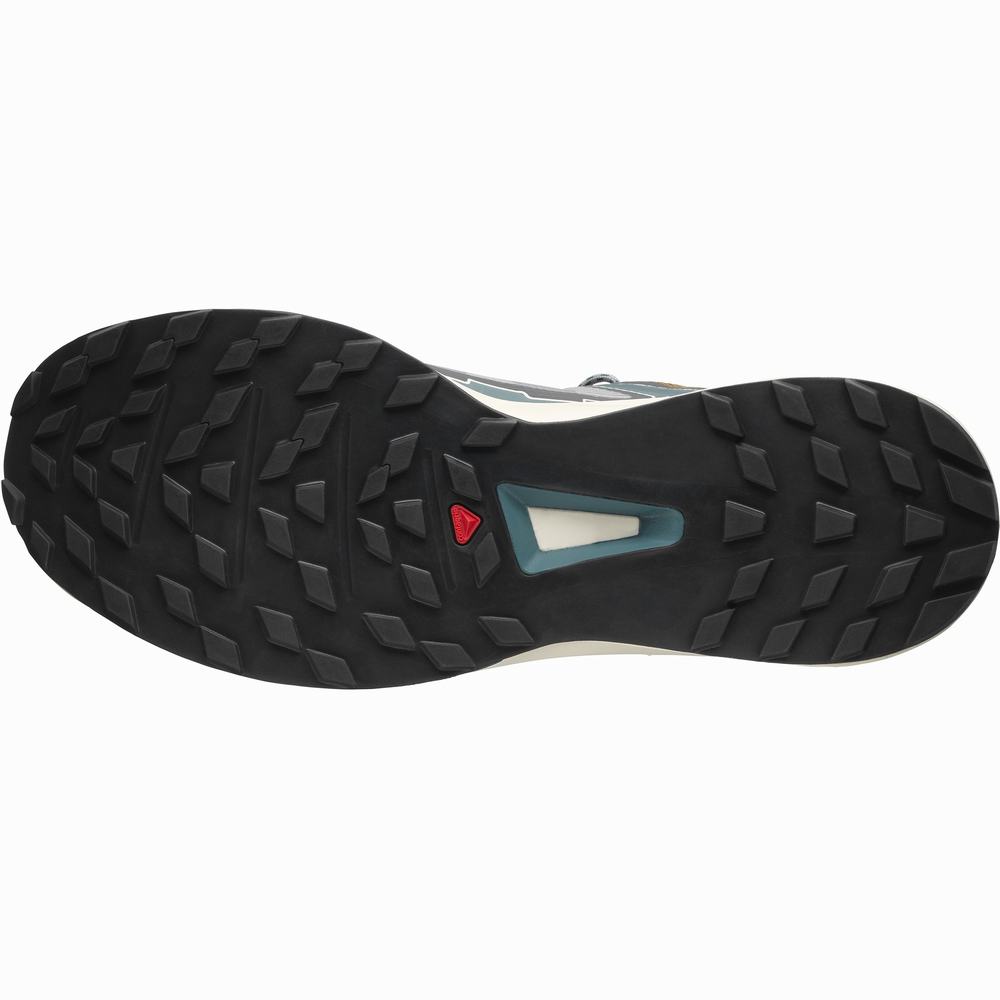 Pánské Tenisky Salomon Ultra Raid Grey/Blue | CZ-3795081