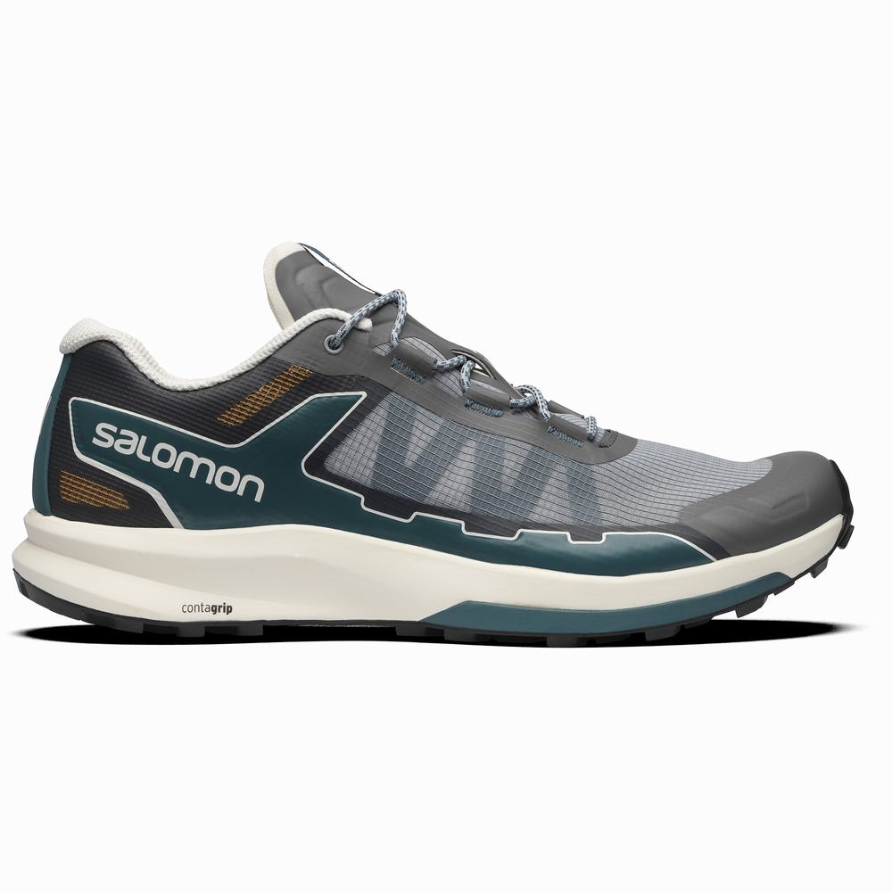 Pánské Tenisky Salomon Ultra Raid Grey/Blue | CZ-3795081