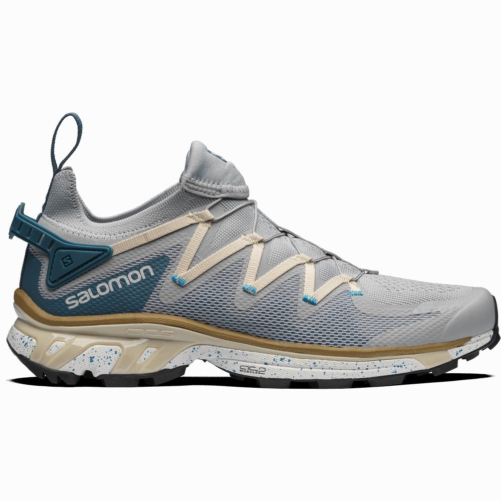 Pánské Tenisky Salomon Xt-rush Grey/Blue | CZ-5904637