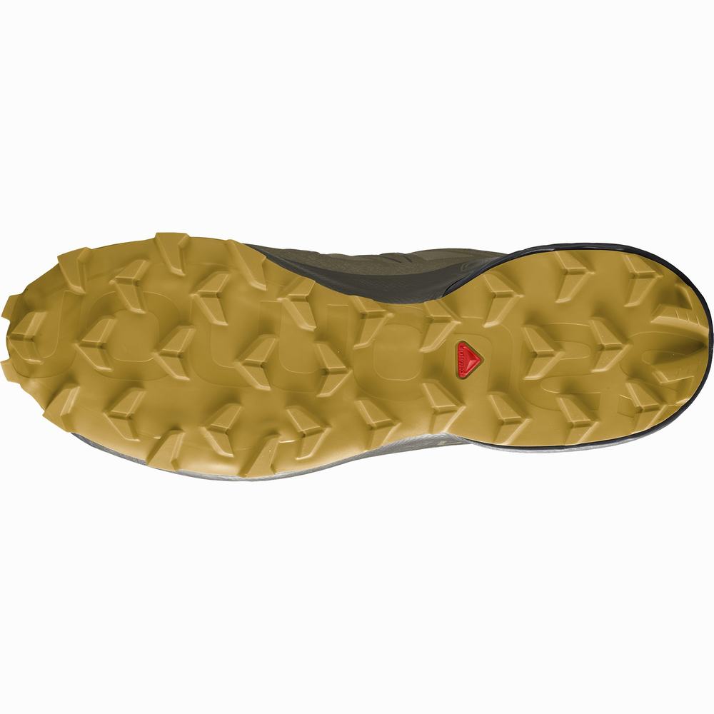 Pánské Trailové Běžecké Boty Salomon Speedcross 5 Gore-tex Olivy Zelené | CZ-7124059