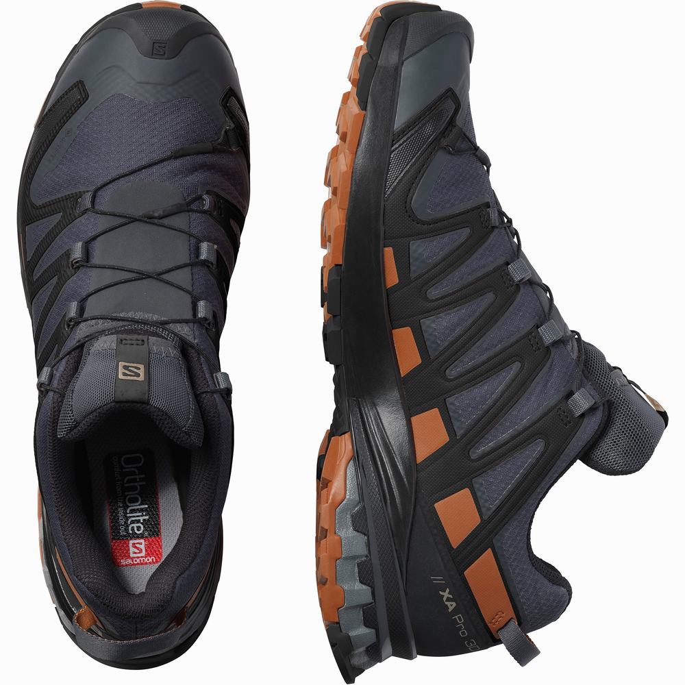 Pánské Trailové Běžecké Boty Salomon Xa Pro 3d V8 Gore-tex Navy/Black | CZ-1976502