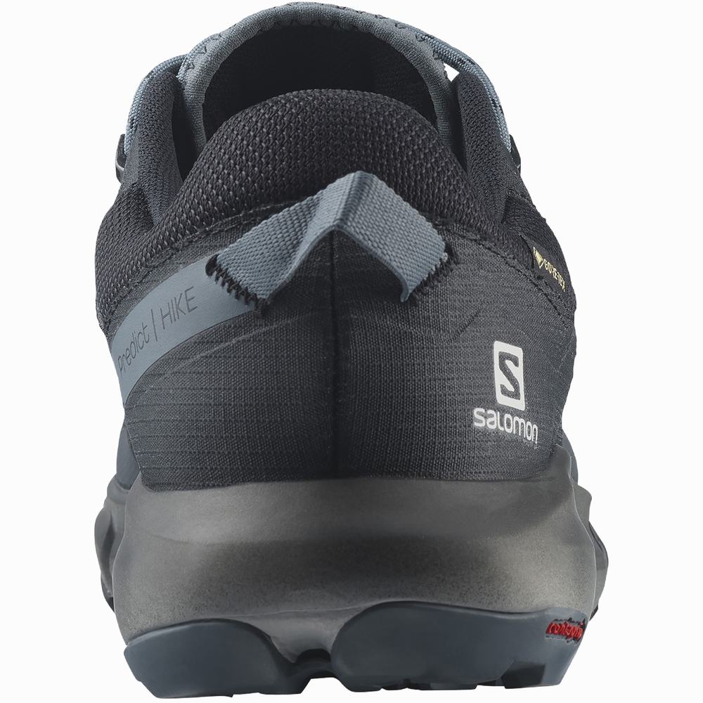 Pánské Turistické Boty Salomon Predict Hike Gore-tex Navy/Black | CZ-3261895