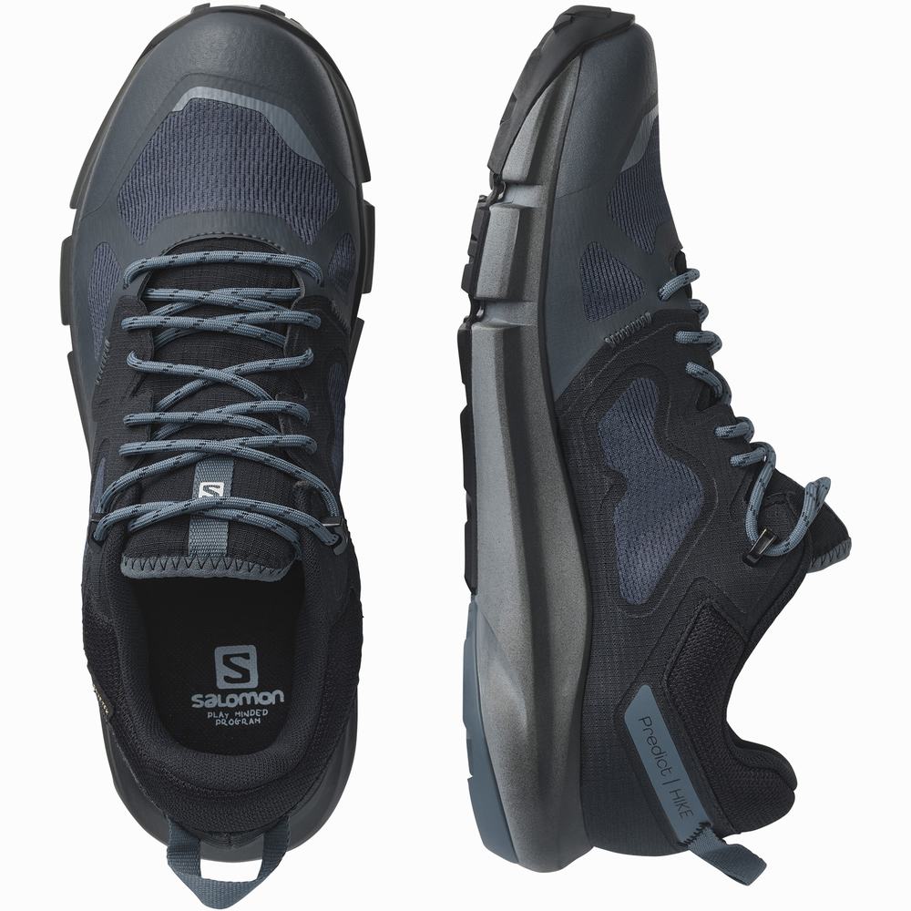 Pánské Turistické Boty Salomon Predict Hike Gore-tex Navy/Black | CZ-3261895