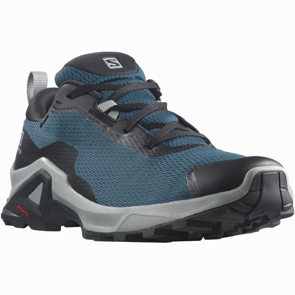 Pánské Turistické Boty Salomon X Reveal 2 Gore-tex Blue/Black | CZ-8176532