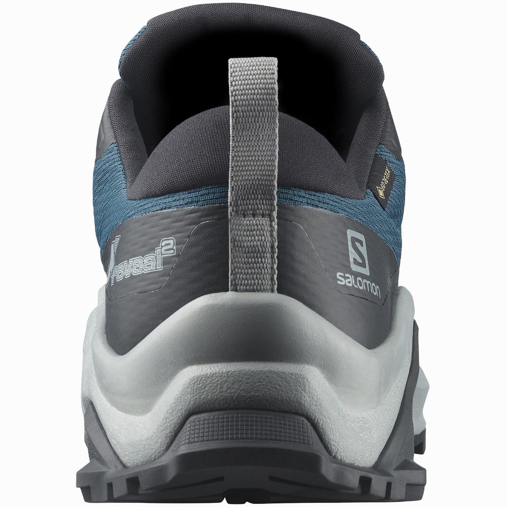 Pánské Turistické Boty Salomon X Reveal 2 Gore-tex Blue/Black | CZ-8176532