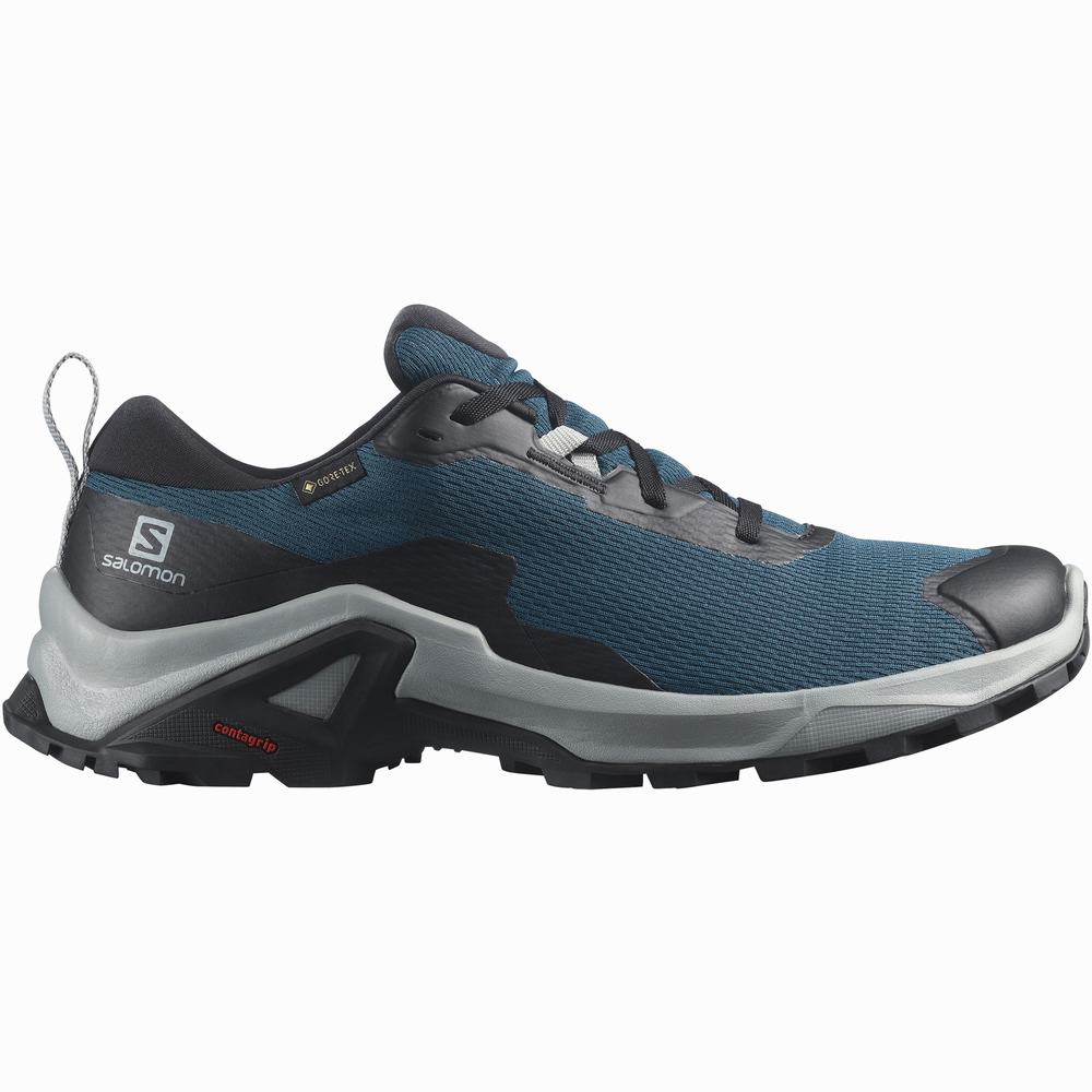 Pánské Turistické Boty Salomon X Reveal 2 Gore-tex Blue/Black | CZ-8176532