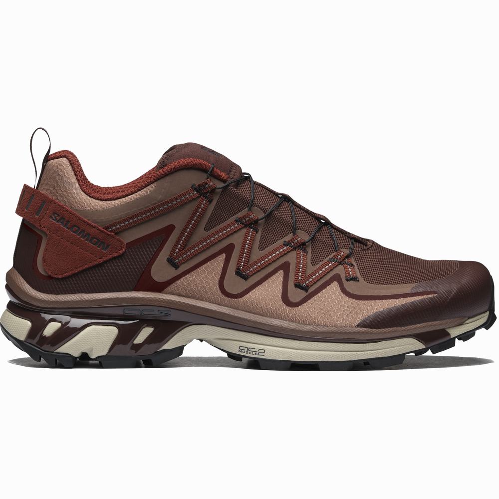 Dámské Tenisky Salomon Xt-rush Utility Čokolády | CZ-8730649