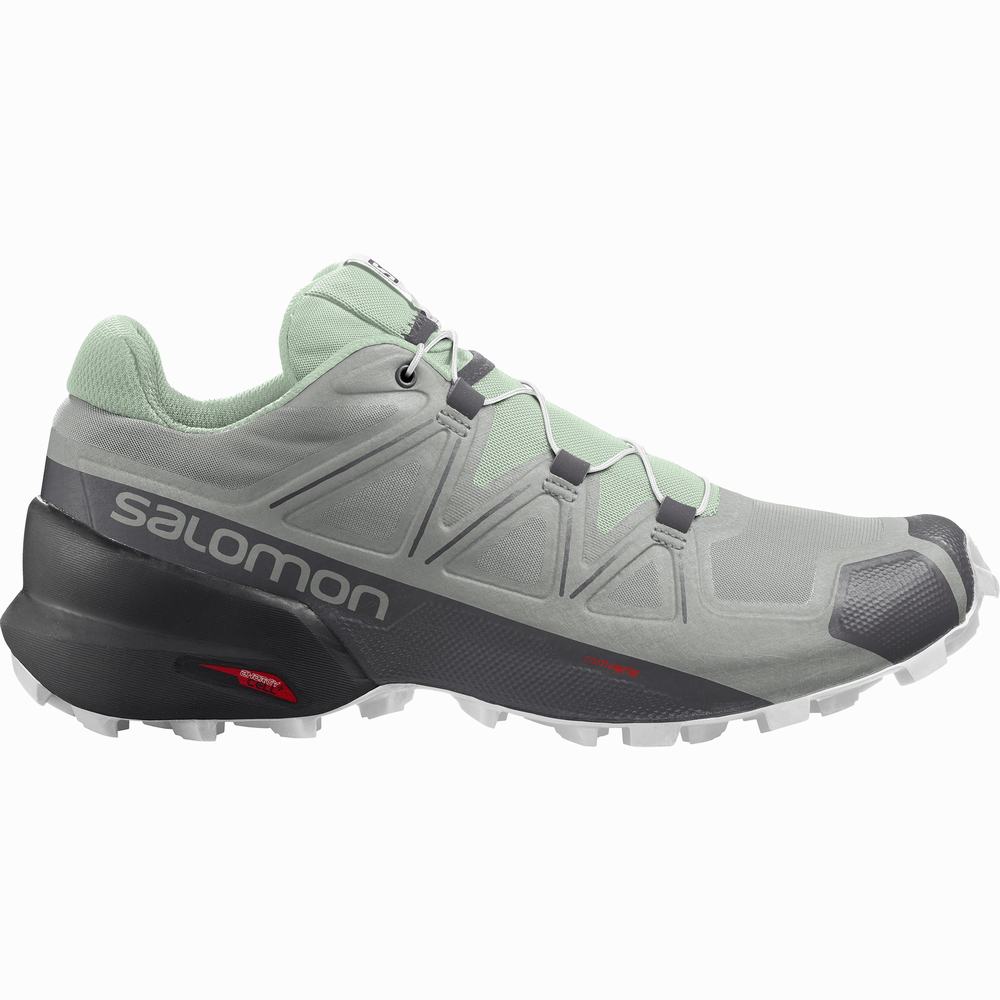 Dámské Trailové Běžecké Boty Salomon Speedcross 5 Grey/Turquoise | CZ-8713425